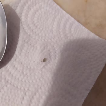 Eti Lifalif Çamur Ve Kurt Çıktı