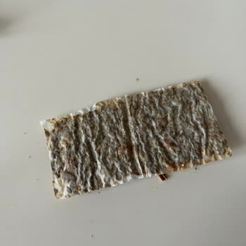 Cook Sedat Tahir Pişirme Kağıdına Üzerinde Pişirilen Gıdaların Yapışması