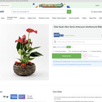 ÇiçekSepeti Çiçek Sepetinin 499 TL'ye Solmuş Kötü Çiçek Göndermesi.