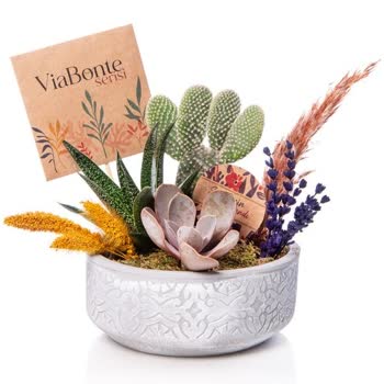 Çiçek Sepeti Görseldeki Ürünün Gönderilmemesi