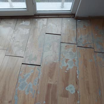 Türkiye Sigorta Turkiye Sigorta Evimdeki Parke Hasarımı Karşılamıyor