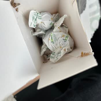 Nestle Damak Çikolatanın İçinden Güve Çıkması