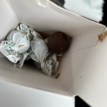 Nestle Damak Çikolatanın İçinden Güve Çıkması