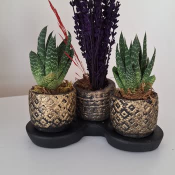 Cicekgaraj.com Yanlış Ürün Ve İlgisiz Müşteri Hizmetleri!