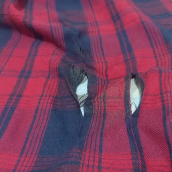 Tefal Marka Ütünün Değişimi