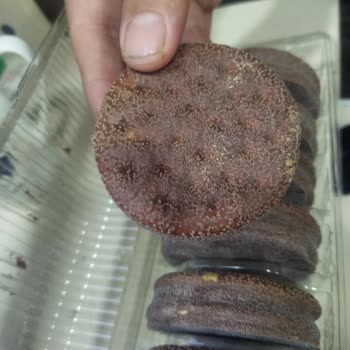 Ülker Bozuk Halley Pütür