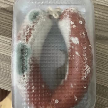Maret Sucuk Paket İçinde Küflendi