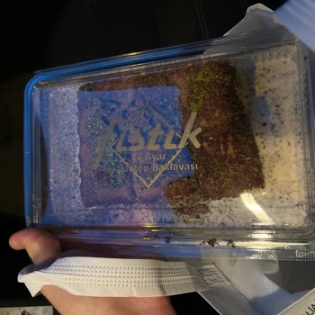 Fıstık Baklavaları Fıstık 27 Ayar Gaziantep Baklavaları 480 TL'ye Süt Satıyor