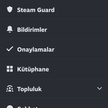 Steam Oyunlarımı Sildi İade Yapmıyor