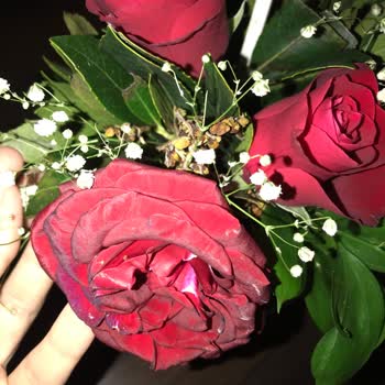 Çiçek Sepeti Çürük Çiçek Yolluyor