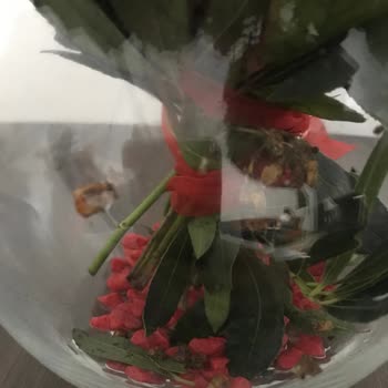 Çiçek Sepeti Çürük Çiçek Yolluyor