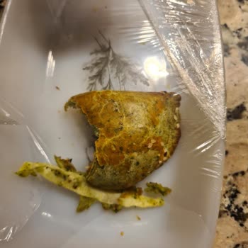 Tarihi Safranbolu Fırını Ürünü İçinden Pis Madde Çıktı