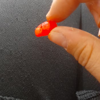 Evliya Şekerleme İçinden Tel Çıktı