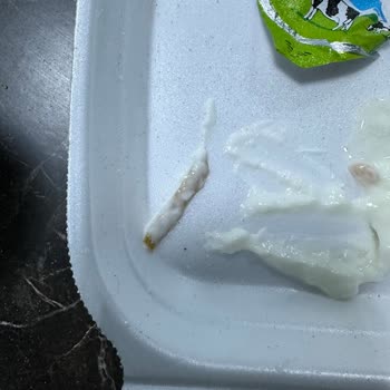 Balkan Süt Ürünleri Balkan Yoğurttan Makarna Tanesi Çıktı