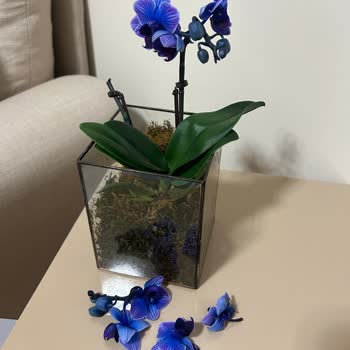 Çiçek Sanat Kırık Çiçek Ayıbı