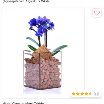 Çiçek Sanat Kırık Çiçek Ayıbı