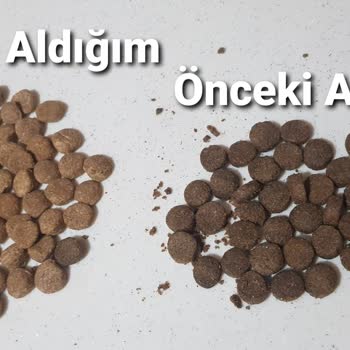 Goody Yanlış Gönderilen Mama Ve Kalite Farklılıkları