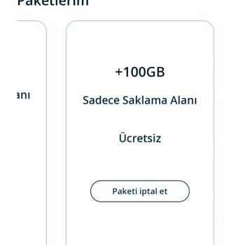 Paycell Lifebox 100 GB Fatura