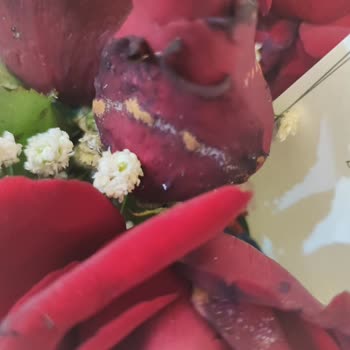 Çiçek Sepeti Mağduriyet