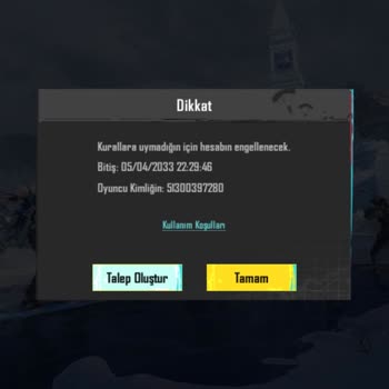 PUBG (Pubgmobile.com) Hesabım Çalındı Ve Haksız Yere Banlandım