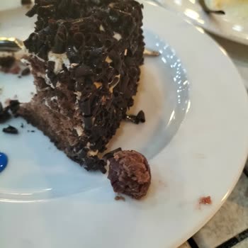 Özsüt Servis Ve Ürün Kalitesi