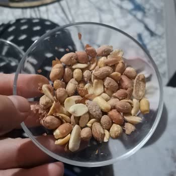 Çerezya Minik Fıstıklar Büyük Hayal Kırıklığı Yarattı