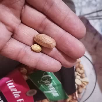 Çerezya Minik Fıstıklar Büyük Hayal Kırıklığı Yarattı