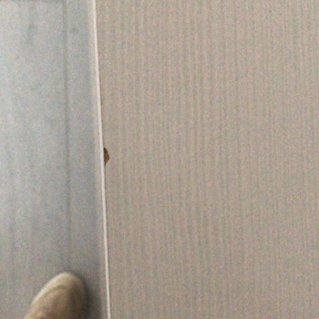 Enza Home Hatalı Gelen Parça