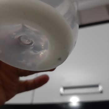 Aptamil 1 Numara Mamada Böcek Var