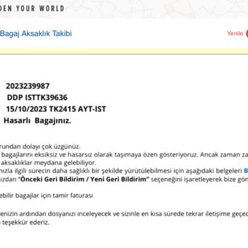THY Bagaj Aksaklık Takibi