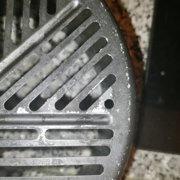 Kumtel Arifler Yapıştırması Ve Izgara Soyulması