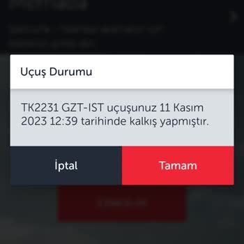 THY Uçak Bilet Ücretinin İade Edilmemesi