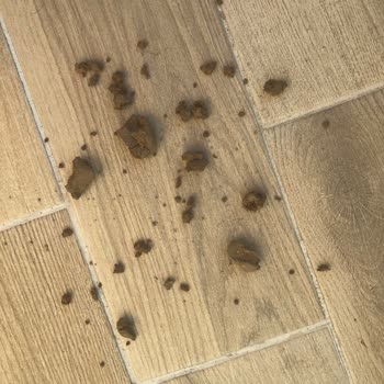 Ülker Altınbaşak Grissini Ürününde Kurt