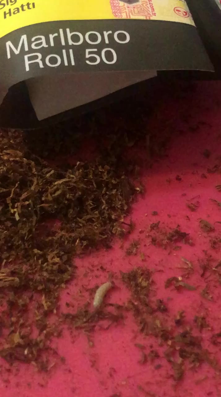 Marlboro Products Fall Short, This Literally Raised My Concerns About Their  Standards video cover