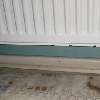 Termoteknik Petek Pas Yapma