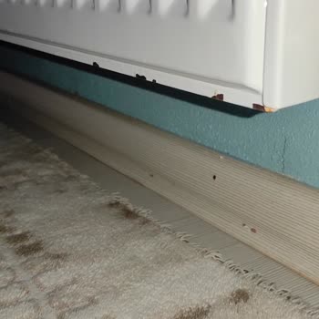 Termoteknik Petek Pas Yapma