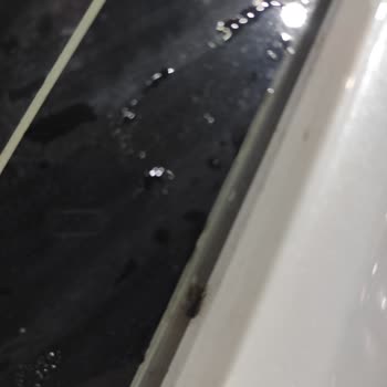 My 2023 Honda City Started To Rot, Rust Is Getting Everywhere