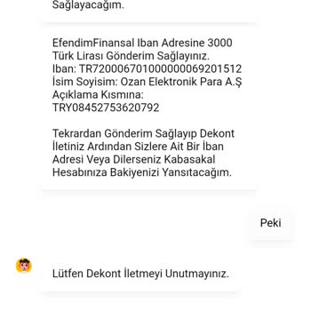 Ozan Elektronik Para Elektronik Para Platformunda Yaşanan Mağduriyet