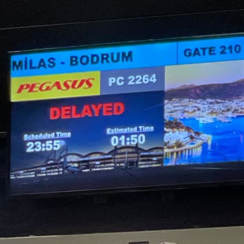 Pegasus Seferi Gecikmesi Hakkında