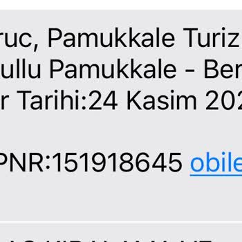 Pamukkale Turizm Valizim Karıştırıldı Şikayetçiyim