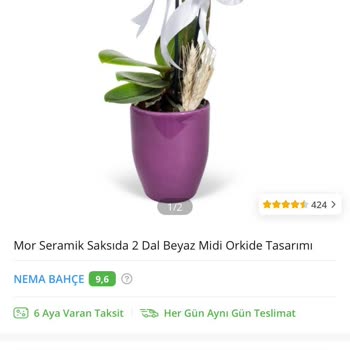 ÇiçekSepeti Öğretmenler Günü Hayal Kırıklığı