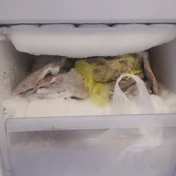 Kdz Ereğli Beko Yetkili Servis Karlanma Sorununu Çözmedi