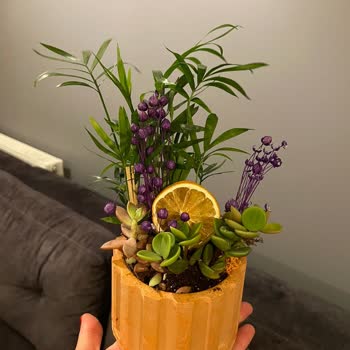 Taze Çiçek (tazecicek.com) Öğretmenler Gününde Teslim Edilen Yanlış Çiçek Ve Muhatap Bulamama