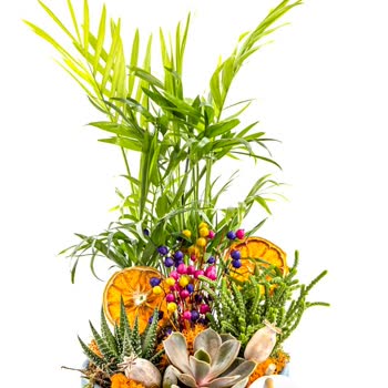 Taze Çiçek (tazecicek.com) Öğretmenler Gününde Teslim Edilen Yanlış Çiçek Ve Muhatap Bulamama