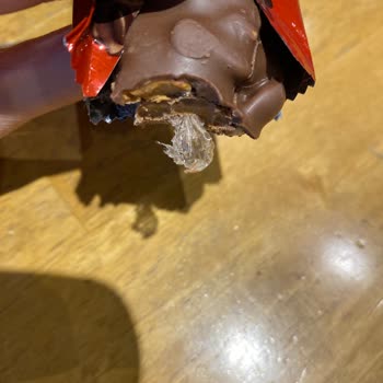 Eti Canga İçinden Poşet Parçası Çıktı