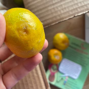 Avokadocu Ayşe Yanlış Ve Kusurlu Ürün Gönderimi