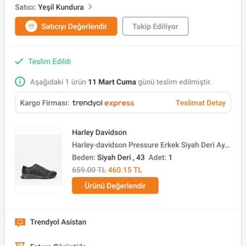 Yeşil Kundura Harley Davidson Bot Taban Kırılması