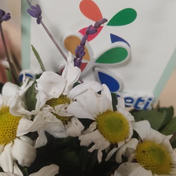 Çiçek Sepeti Kötü Ürün