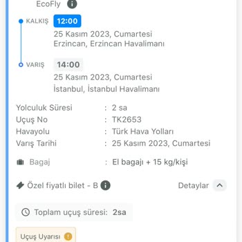 THY Check-in Yüzünden Uçağa Binemedim.