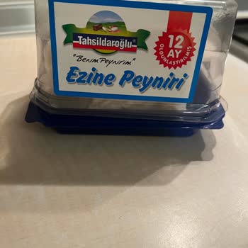 Tahsildaroğlu Tatil Dönüşü Küflenmiş Peynir Hayal Kırıklığı